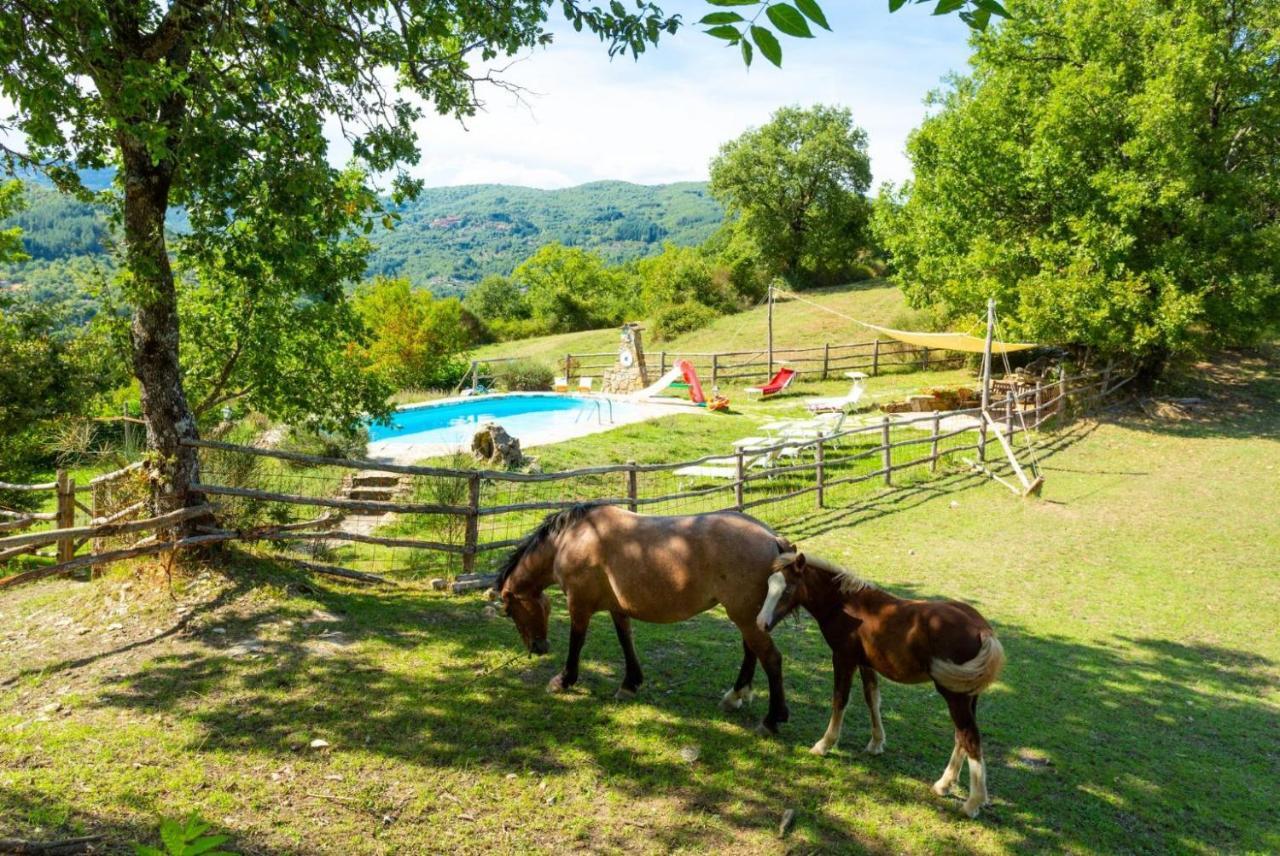 Villa Bellavista Αρέτσο Εξωτερικό φωτογραφία
