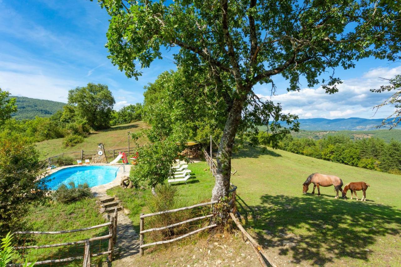 Villa Bellavista Αρέτσο Εξωτερικό φωτογραφία